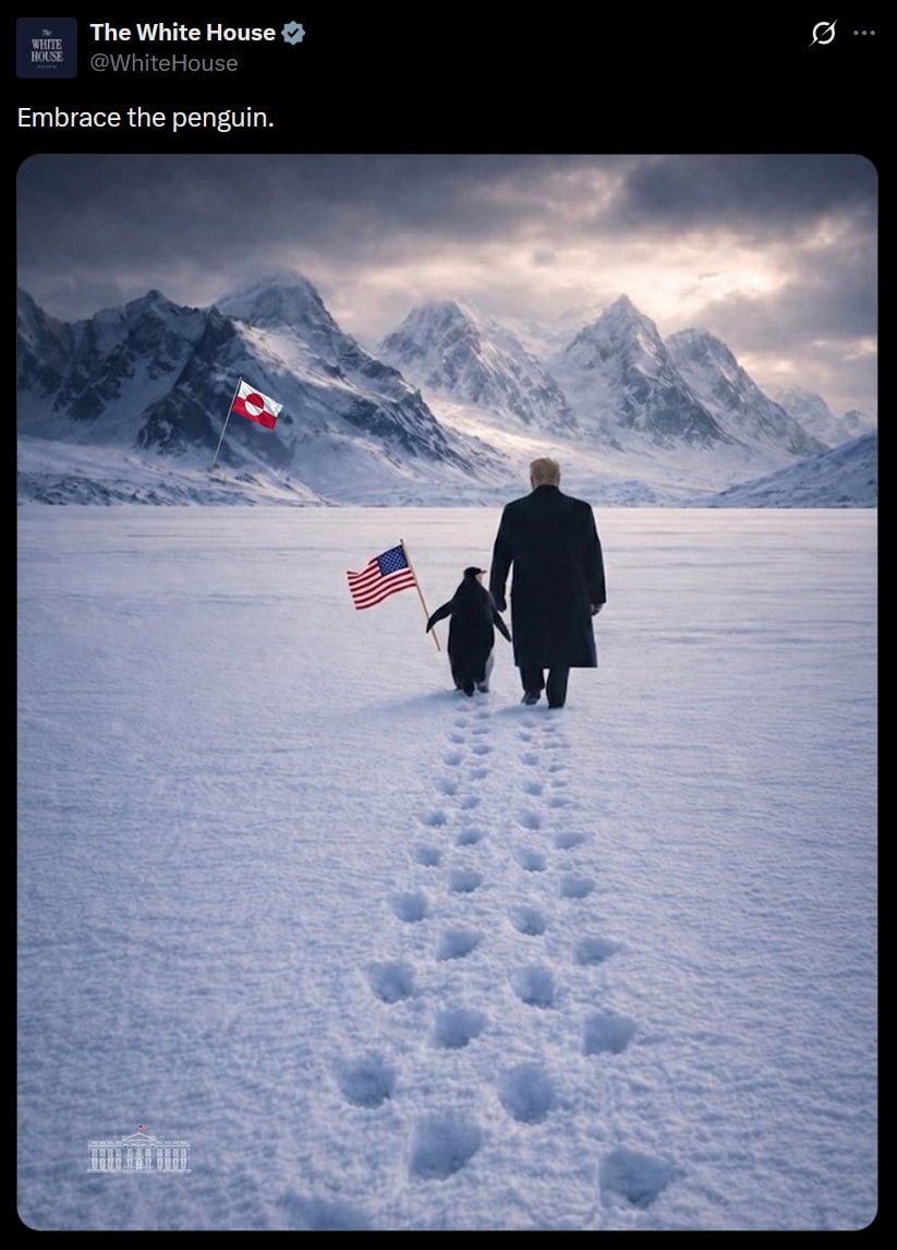 "Обними пингвина": пост с такой подписью опубликовал Белый дом в соцсети Х