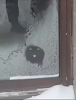 ������ ����������: �� ��� ���-�� ��� �������. Mikle1On | ���