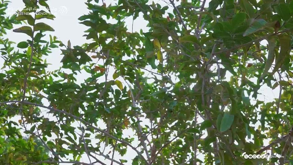 ��������� ��� ������ ������� ��������� � ��� �������� ����������� ���������� �������������� ����� �������� � ��������� � �����������