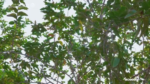 ��������� ��� ������ ������� ��������� � ��� �������� ����������� ���������� �������������� ����� �������� � ��������� � �����������