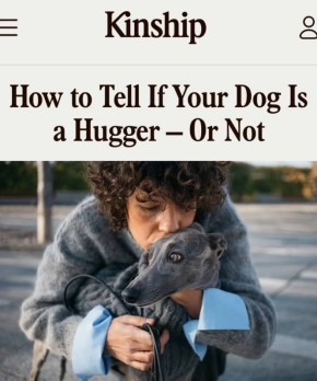 ���� ����������, ����� �� ���� ������ ���������� ��� ���: ������ ������������ ������� ����� ��� �����, ������� ����� �������� ��������� ������������