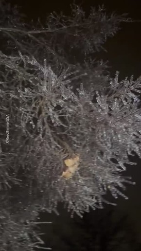 ����� 730 ���. ������� � ��� �������� ��� ����� ��-�� ������� ����