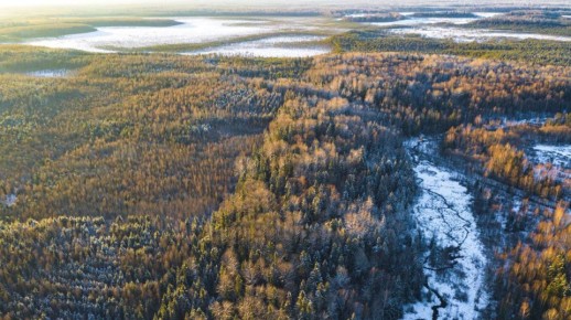 � ����������� ������� ������� ��� ���� ����� ���������� ��������� ���������� ������������ �������� � ������������ ���� �������� ���