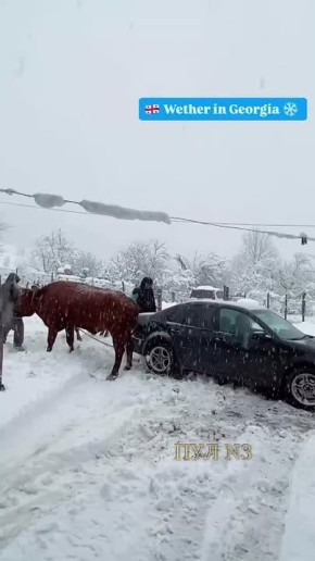 � ��� ���� ������� ������ � ����: