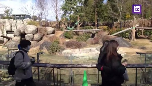 "�� ��������, ��� �������� �����": ������ ������� ��������� ������� ���� � �����, ����� ����������� � ���������� ������� � ������