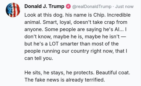 ������� ����� ������, ��� ������ ����� ������, ��� ������ ��������� ���