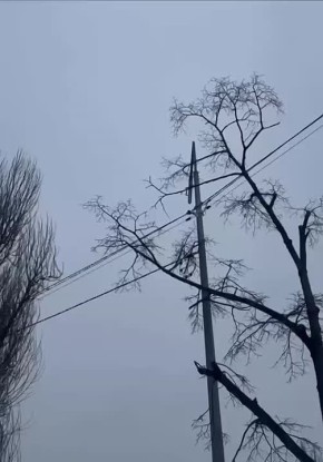 ��������� ���: ��� ������ ������ �����-���������