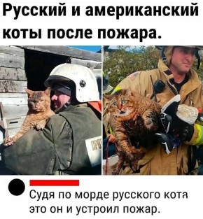 � �� �� ������, ��� ���� ��� ����� ���� �������