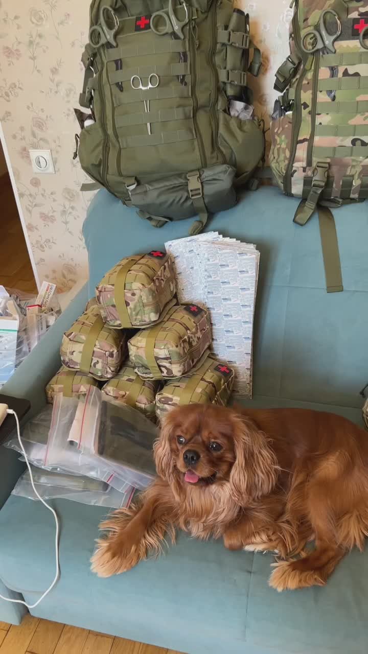 Юлия Витязева: Миссия «Успеть до Нового года!»