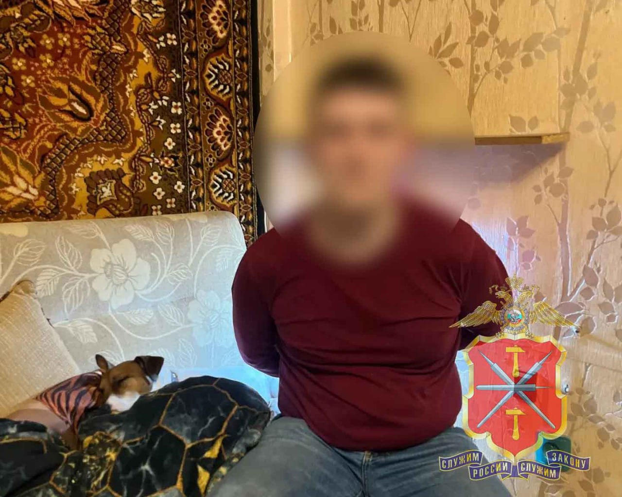 В Новомосковске полицейские раскрыли серию краж ювелирных изделий из пунктов выдачи заказов