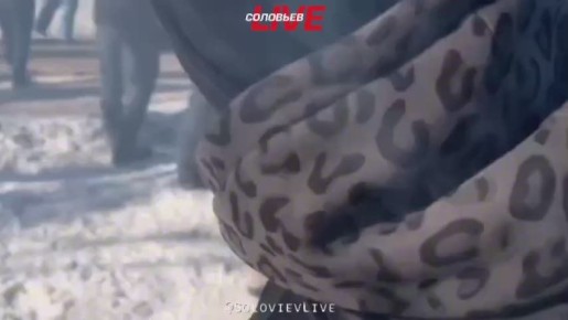 � ������������ ������������ ������������ �������� ������ ICE (�������������� � ���������� ������ ���)