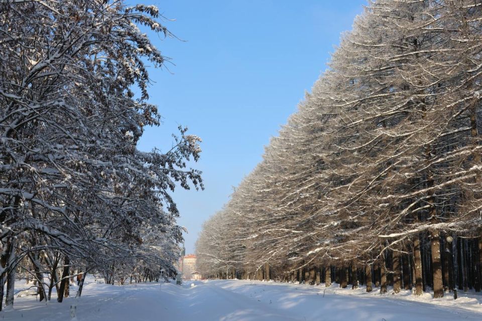 Мороз и солнце: день чудесный! Аптека, улица, фонарь