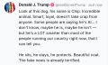 Дональд Трамп заявил, что собака умнее многих, кто сейчас управляет США