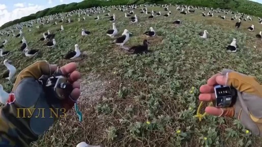 ������ ����� ��� ���, ��� ������ ������� � ����� ������ ��������: