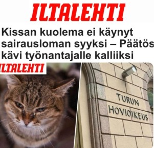 ������� ���� �� ����� �������� ��� ����������� � ������������ ��� ������ ���������: ������� ����������� ������� ������ ��-�� ������ ����, �� ��� ������� ���������� ���������� � ������ ������������ ��������� 40 ����� ����