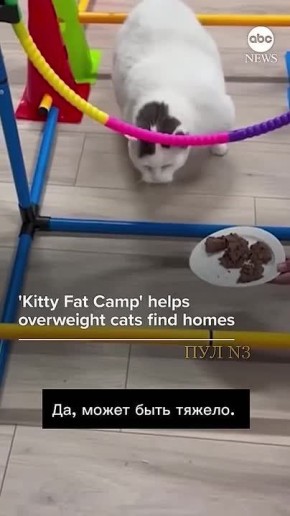 ���� ����� ��������� ����������� ����� �������: