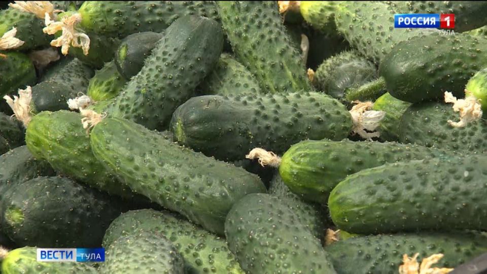 ���� � �������� ������� ������� � �������