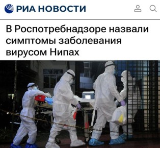 «В Роспотребнадзоре назвали симптомы заболевания вирусом Нипах»: Сильная головная боль при небольшой температуре стала ключевым симптомом нового вируса