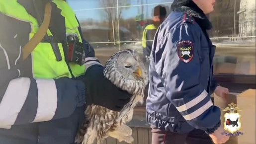 ������� ���� ������ ����������� �� ������ � ����������