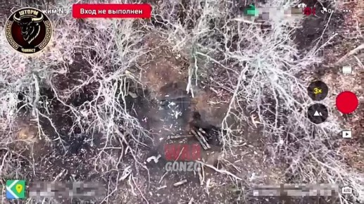 WarGonzo: ���������� �� ������ ����������� ����� � ����� ��