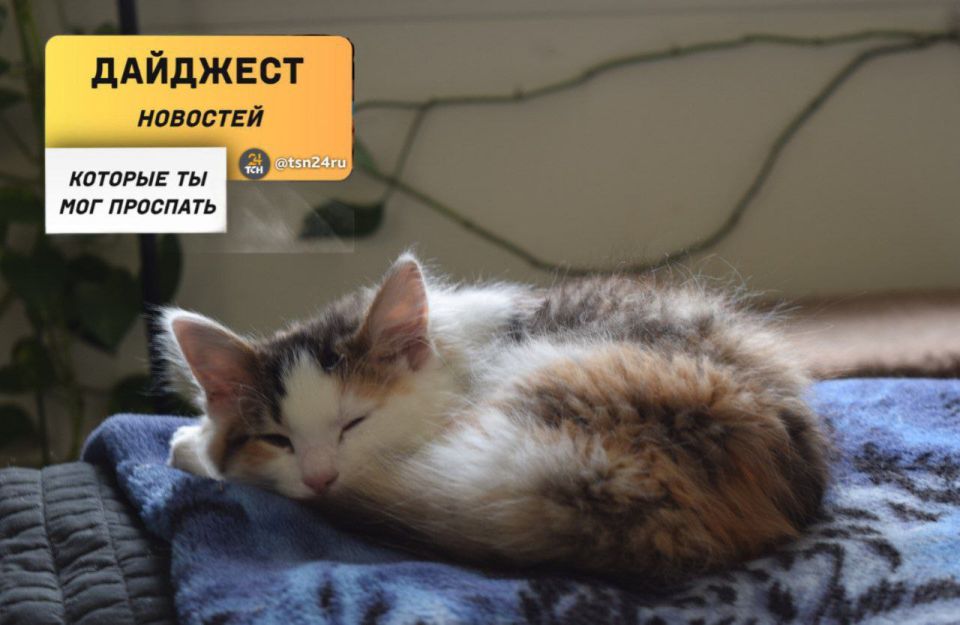 ������������ � ��������, ������� �� ����� ���������� �����