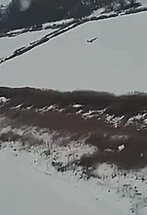 �� �� �� ����� �������: ������� ������ �� ������ ���������� �� ������ �� 10 ������