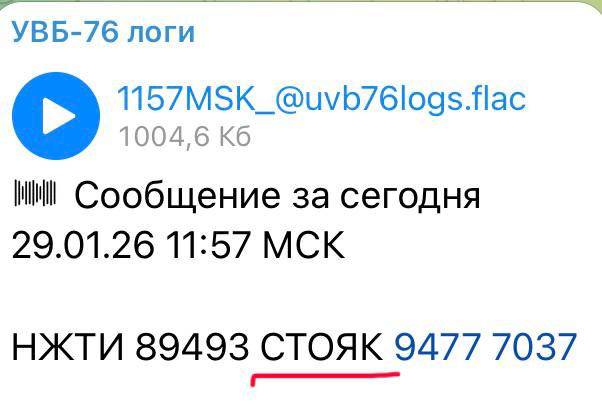 Юлия Витязева: Очень интригующе…