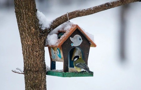 ������� ������������ �� ���������� ������� � 31 ������ �� 4 �������