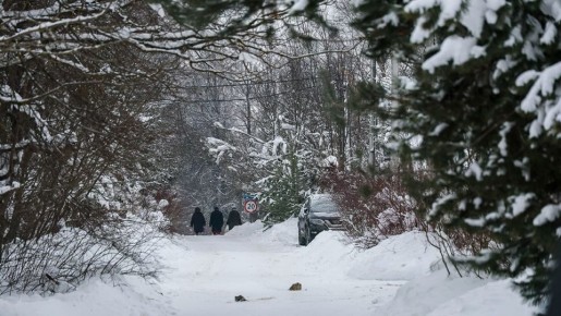 "�������������" ������ ������� �� ������ ����� ������������ ���������