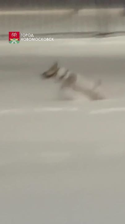 ����������!. �� ���� ����� �� ������� ������ �������� � �������� ������ ����������