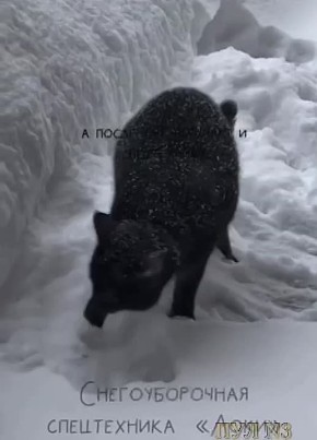 ������������� ������ �������� � ��������� ������ � ������� ������� ����������� ���������: