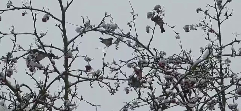 ������ ���������! ��� ���������� ������?