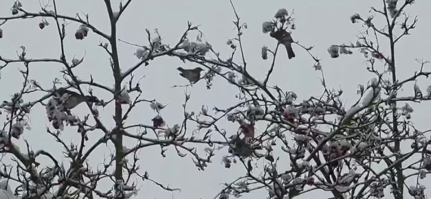 ������ ���������! ��� ���������� ������?