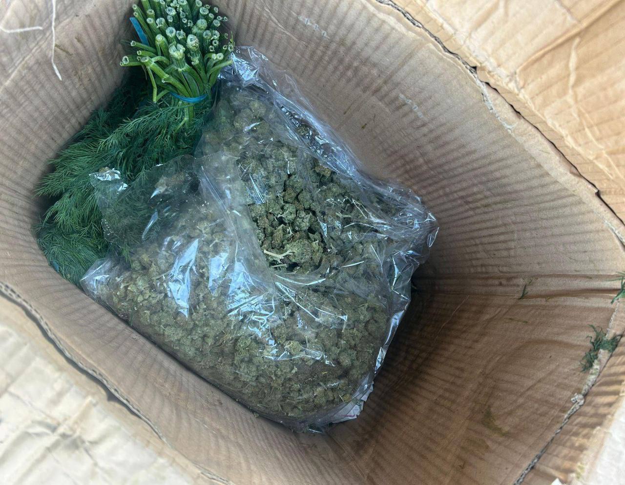 Почти 130 кг марихуаны пытались провезти в Дагестан под видом укропа