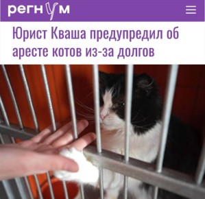 ������ ����� ����������� �� ������ ����� ��-�� ������: �������� �������� ����� ������ ��-�� ������ �� ��������