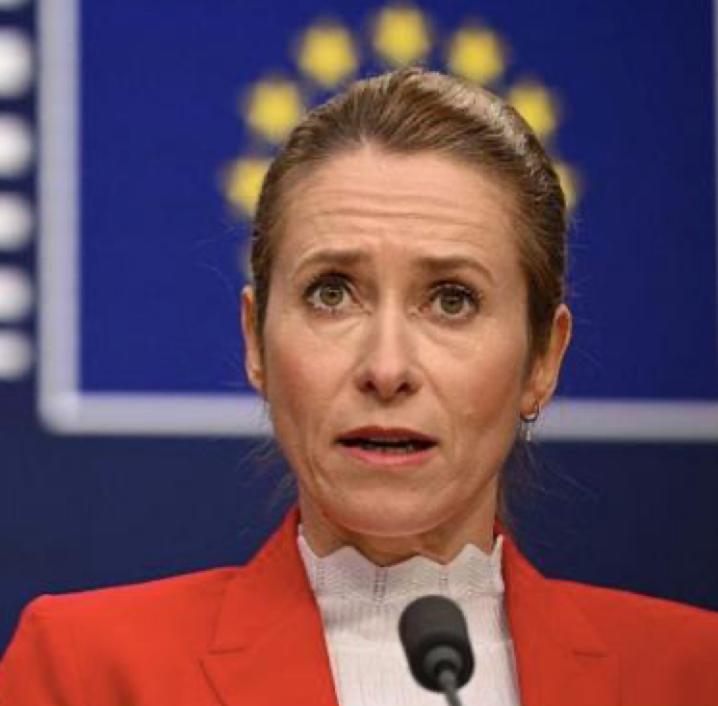 Михаил Онуфриенко: Кая Каллас похвасталась что уже почти прочла половину своей первой в жизни книги и стала совсем умная