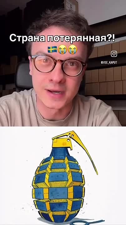 Сергей Колясников: Итоги миграционной политики в Швеции, некогда одной из самых благополучных и спокойных стран Европы