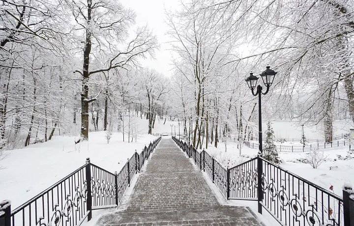 На предстоящей рабочей неделе Тульскую область ждут сильные морозы