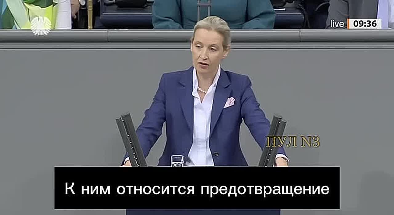 Лидер «Альтернативы для Германии» Алис Вайдель - призвала ускорить завершение конфликта на Украине и восстановить работу "Северных потоков":
