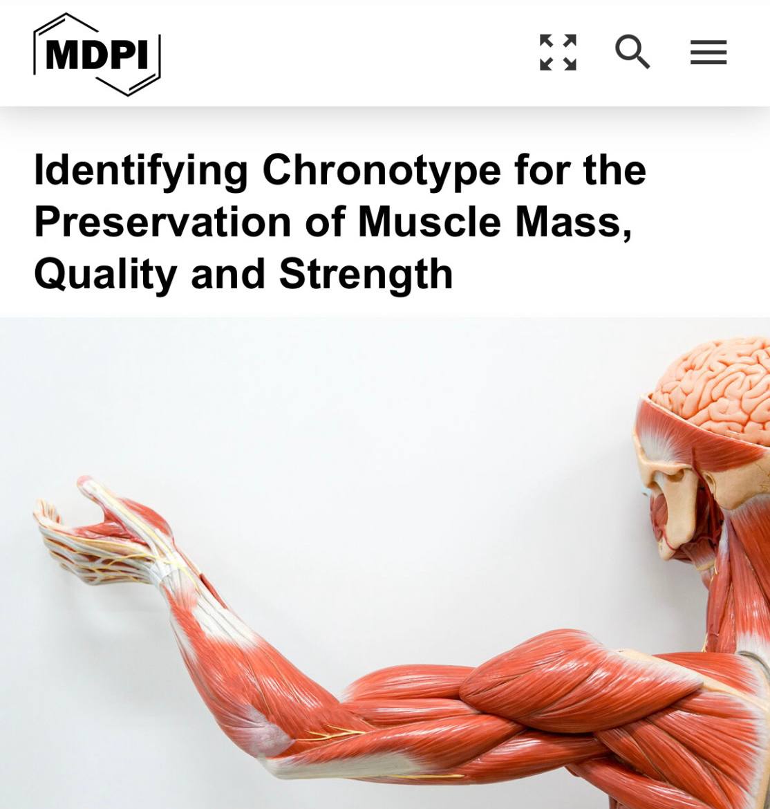 «Определение хронотипа для сохранения мышечной массы, качества и силы»: Поздний отход ко сну может ускорить деградацию мышц