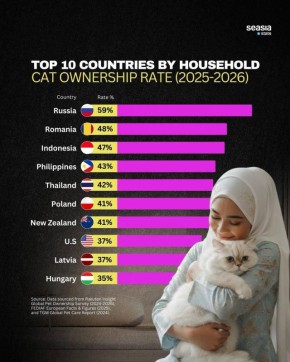В России живет больше всего «кошатников» – меньше всего кошек любят в Венгрии: