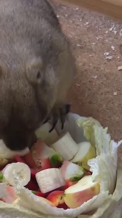 �������� ����� ������ � ������ ����������� ������, �� �������� �����