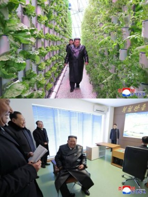 ��� ��� �� ������� ������������ ���������������� ����: