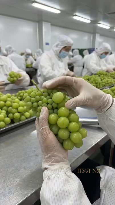 ���������� ��������� �������� ������� �� ��������� ���������: