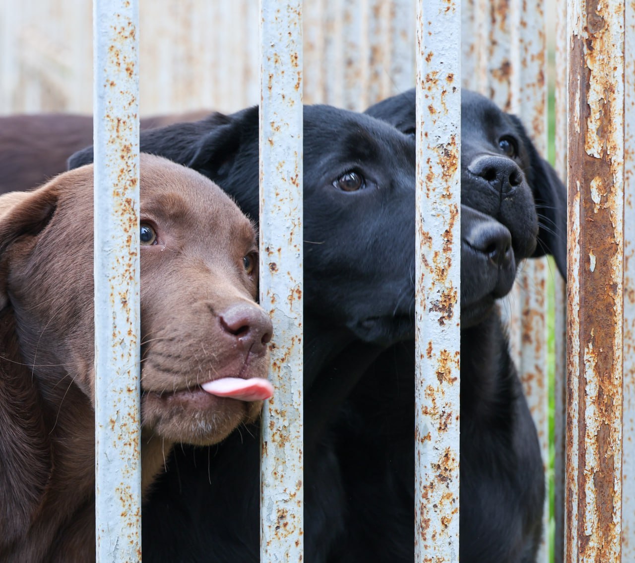Новости, которые вы могли пропустить: