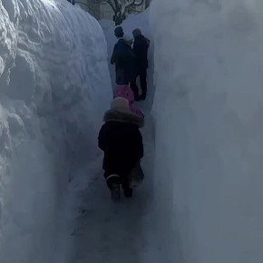 Камчатка. Олег Царёв