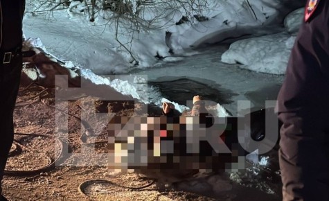 ���� 9-������� ���� �� ���������� ������ �������� �� ��������� ������ � ����������