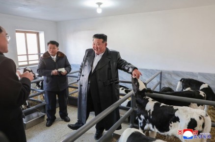 ������ ������� ����� �� ��������: ��� ��� �� ������� ���������������� �������� � ���� ������� ��������� �������� ������