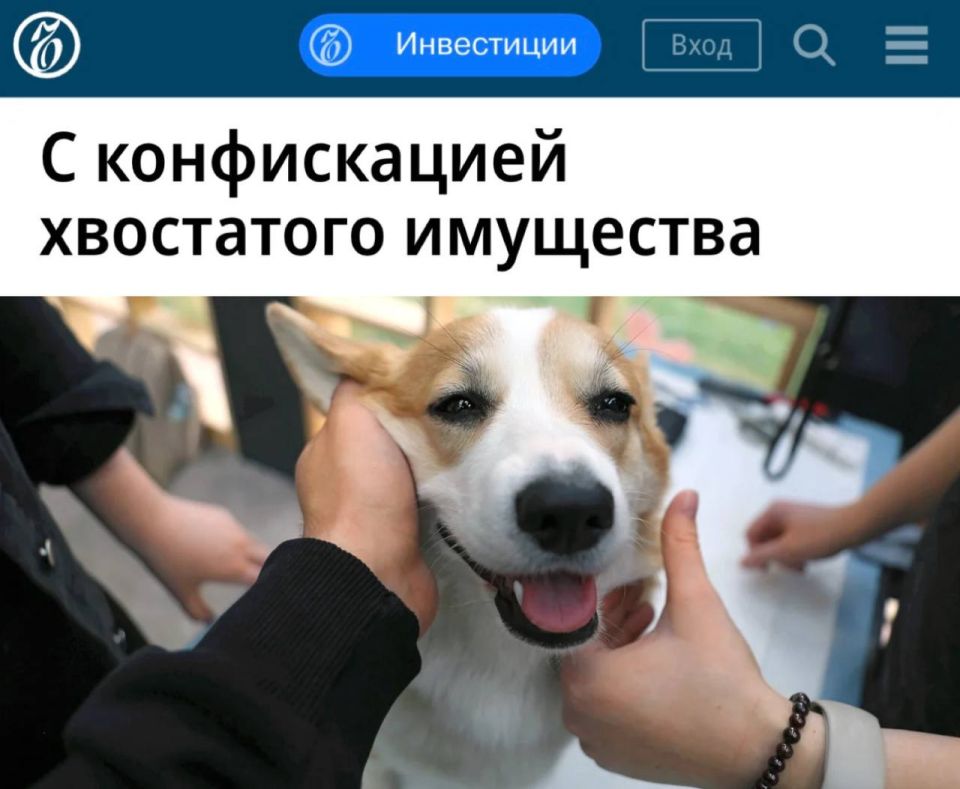 �� ������������ ���������� ���������: ����������� ������� �������� � �������� ����������