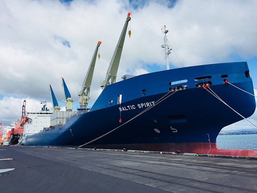 Олег Царёв: Эстонские власти задержали контейнеровоз Baltic Spirit под флагом Багамских островов